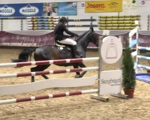 Springturnier Reiterhof Laurent 2015