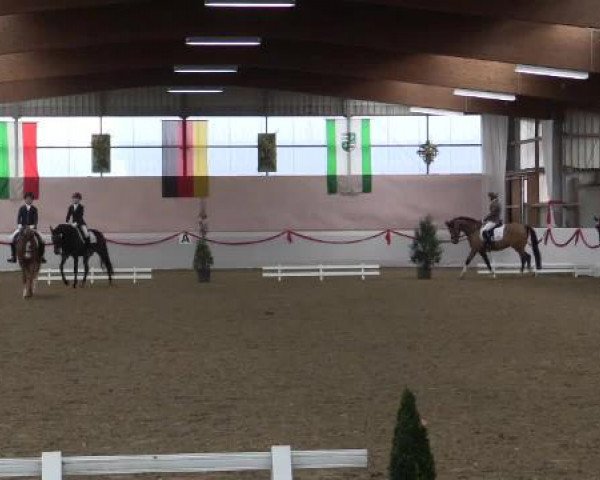 Hallen-Dressur-Late Entry Rhede-Krommert 2015