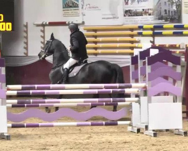 Springturnier Reiterhof Laurent 2015