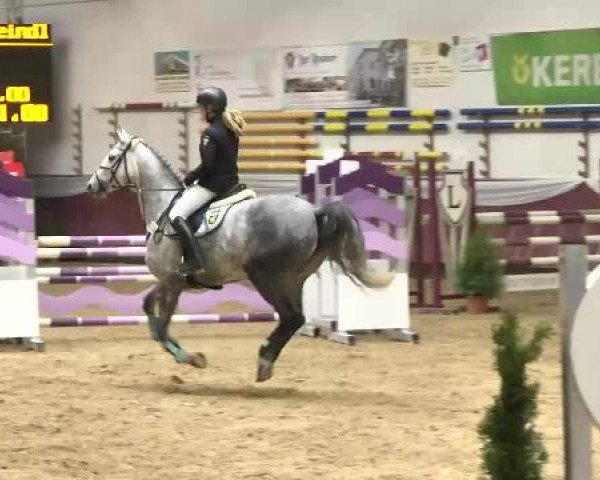 Springturnier Reiterhof Laurent 2015