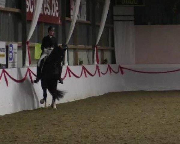 Hallen-Dressur-Late Entry Rhede-Krommert 2015
