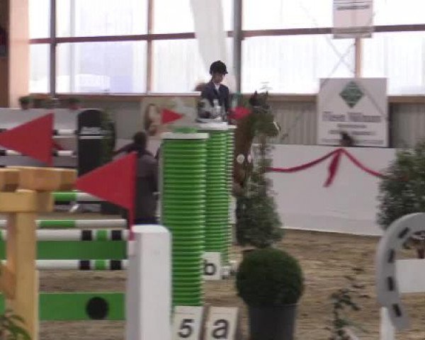 Reitsportzentrum Gerd Könemann Reit- und Springturnier 2015