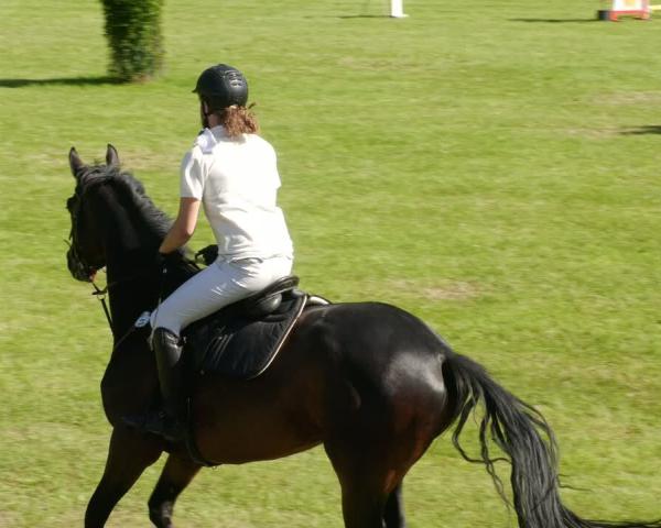 Reitturnier Forst 2026