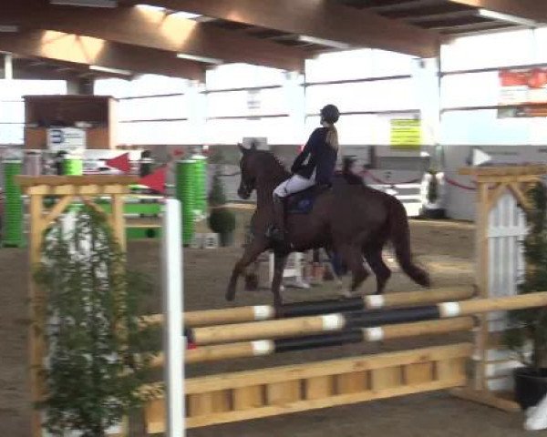Reitsportzentrum Gerd Könemann Reit- und Springturnier 2015