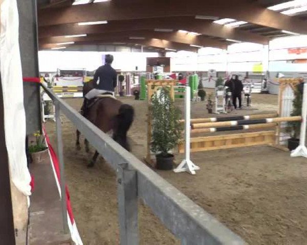 Reitsportzentrum Gerd Könemann Reit- und Springturnier 2015