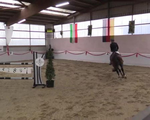 Reitsportzentrum Gerd Könemann Reit- und Springturnier 2015