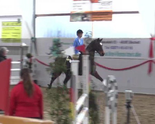 Reitsportzentrum Gerd Könemann Reit- und Springturnier 2015