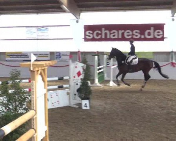 Reitsportzentrum Gerd Könemann Reit- und Springturnier 2015