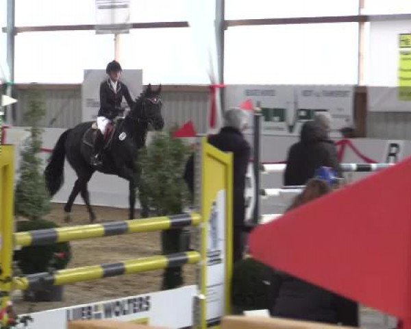 Reitsportzentrum Gerd Könemann Reit- und Springturnier 2015