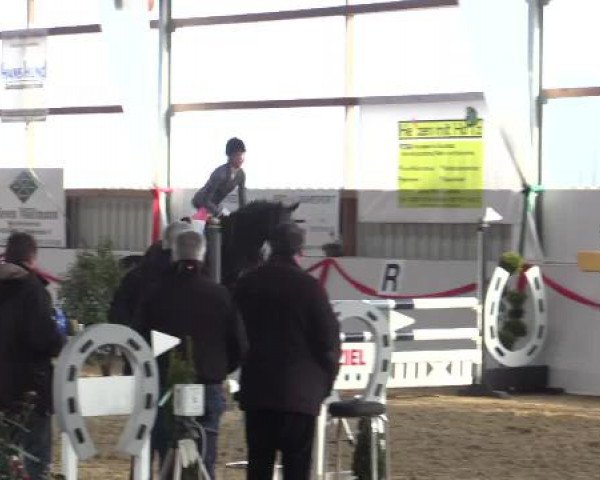 Reitsportzentrum Gerd Könemann Reit- und Springturnier 2015