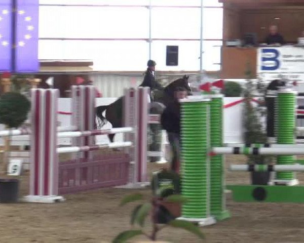Reitsportzentrum Gerd Könemann Reit- und Springturnier 2015