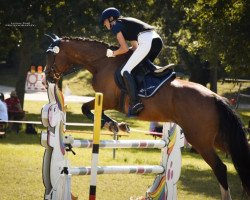 jumper Quiseidon (Bavarian, 2003, from Quinar)
