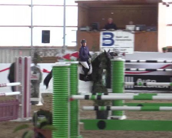 Reitsportzentrum Gerd Könemann Reit- und Springturnier 2015