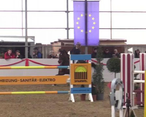 Reitsportzentrum Gerd Könemann Reit- und Springturnier 2015
