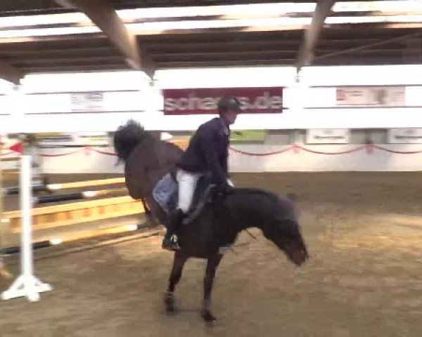 Reitsportzentrum Gerd Könemann Reit- und Springturnier 2015