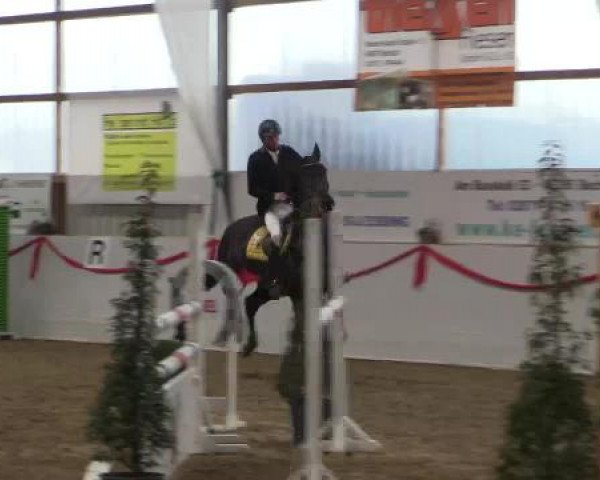 Reitsportzentrum Gerd Könemann Reit- und Springturnier 2015