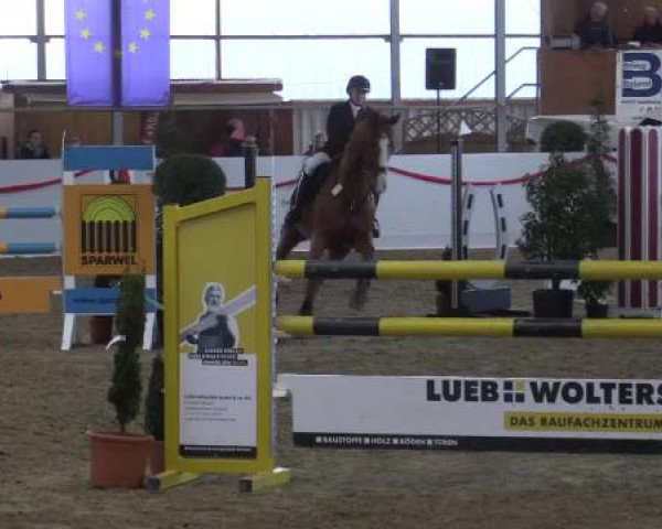 Reitsportzentrum Gerd Könemann Reit- und Springturnier 2015