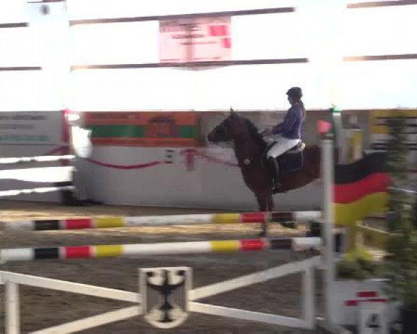 Reitsportzentrum Gerd Könemann Reit- und Springturnier 2015