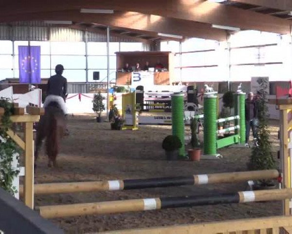 Reitsportzentrum Gerd Könemann Reit- und Springturnier 2015
