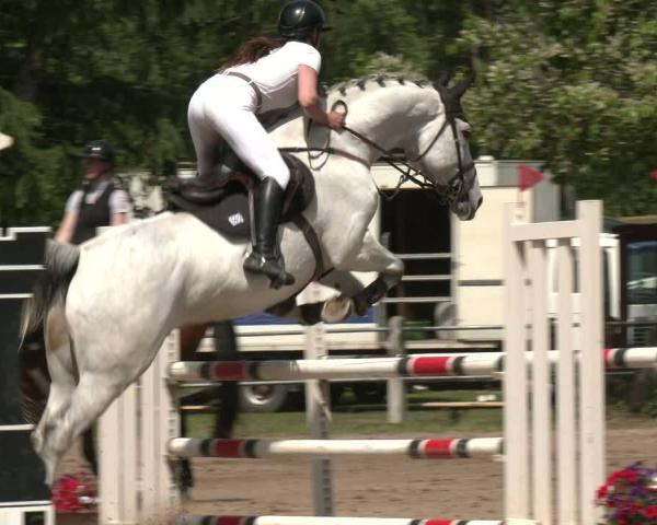 Equestrian Show Mettingen 2026