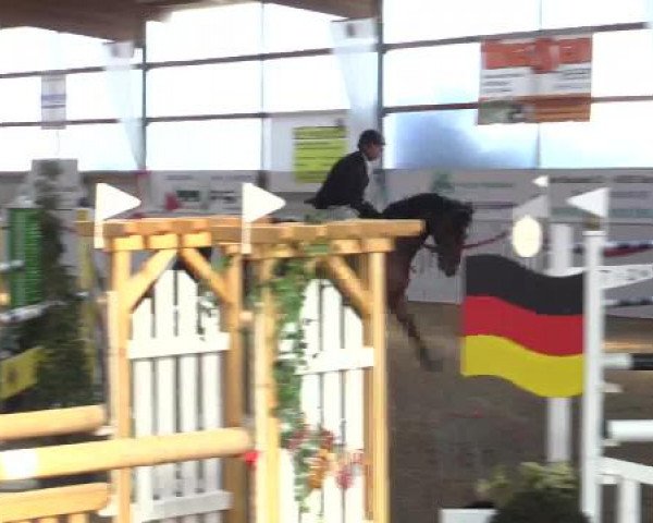 Reitsportzentrum Gerd Könemann Reit- und Springturnier 2015
