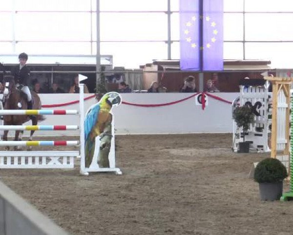 Reitsportzentrum Gerd Könemann Reit- und Springturnier 2015