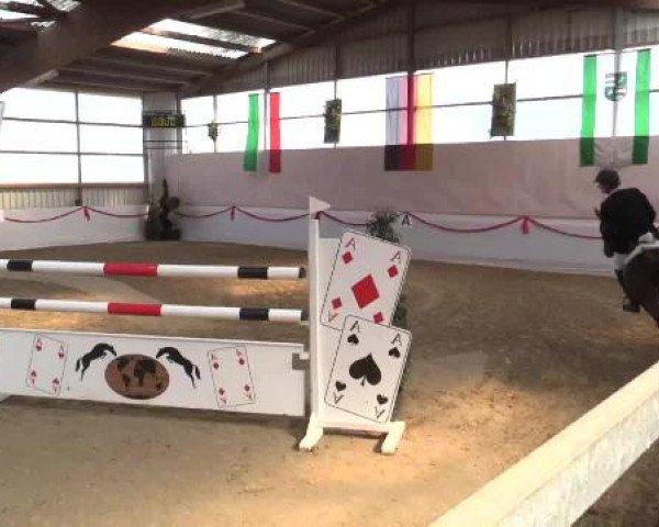 Reitsportzentrum Gerd Könemann Reit- und Springturnier 2015