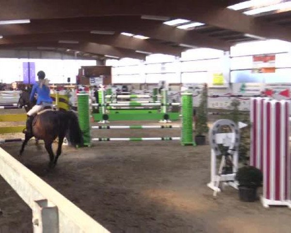 Reitsportzentrum Gerd Könemann Reit- und Springturnier 2015