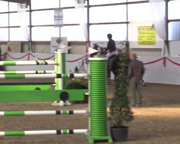 Reitsportzentrum Gerd Könemann Reit- und Springturnier 2015