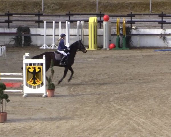 Balve-Wocklum Regio 2015