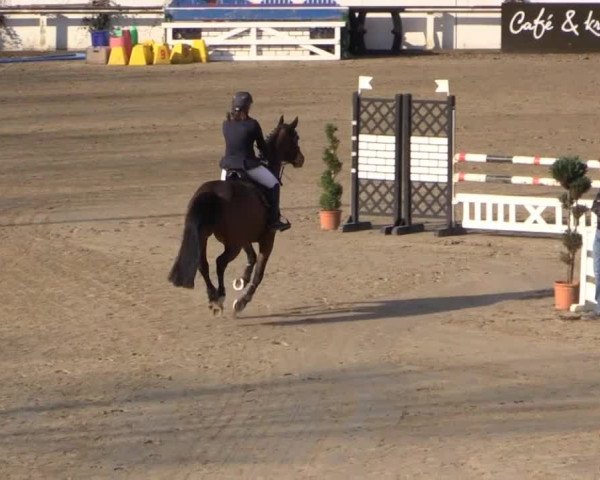 Balve-Wocklum Regio 2015