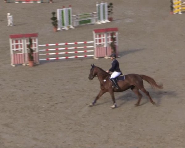 Balve-Wocklum Regio 2015