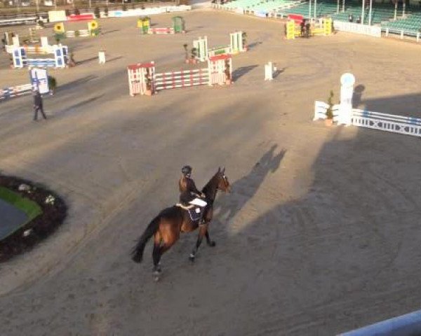 Balve-Wocklum Regio 2015