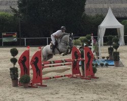 jumper Cavani 9 (Holsteiner, 2015, from VDL Cardento 933)