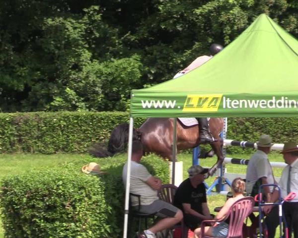 Equestrian Show Westeregeln 2026