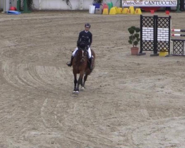 Balve-Wocklum Regio 2015
