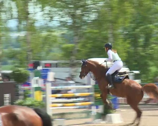 Torneio Equestre Landenhausen 2026