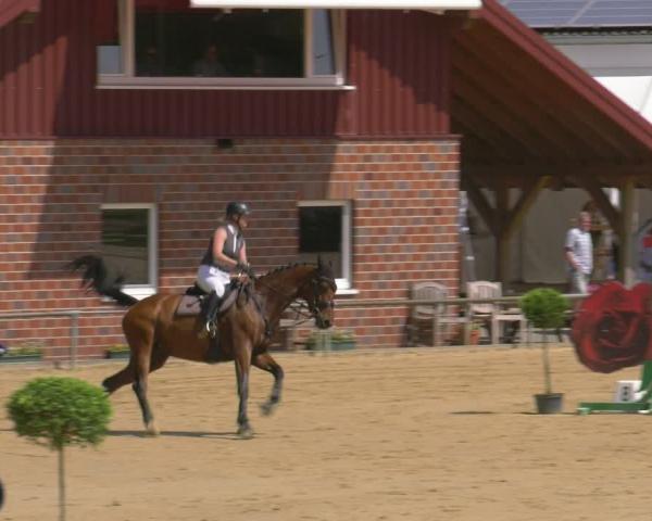 Turniej Jeździecki Seppenrade 2026
