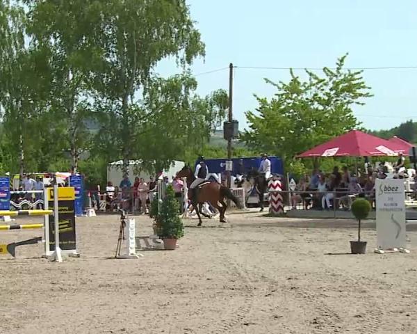Equestrian Show Landenhausen 2026
