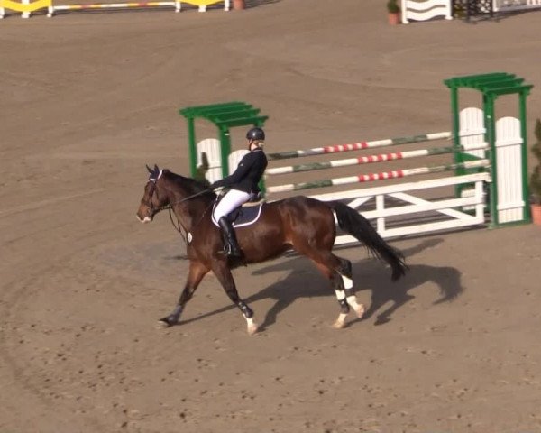 Balve-Wocklum Regio 2015