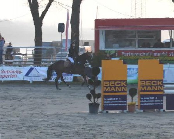 Lenklarer Reitertage 2015