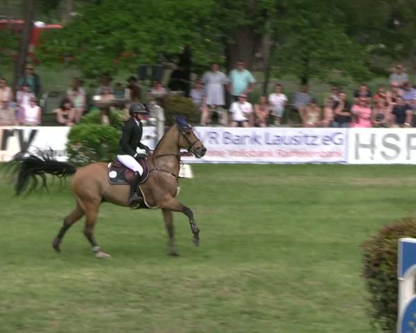 Torneo Ecuestre Cottbus-Sielow 2026