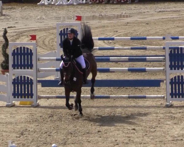 Balve-Wocklum Regio 2015