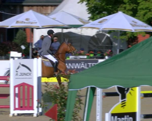 Reitturnier Borken 2026