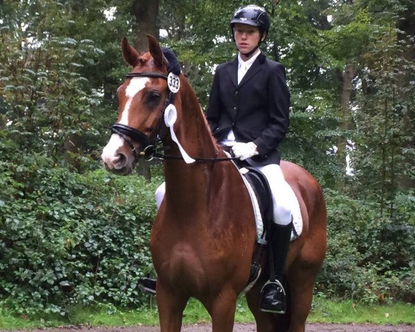 dressage horse Rio de Janeiro BE (Rhinelander, 2005, from Röwer BE)