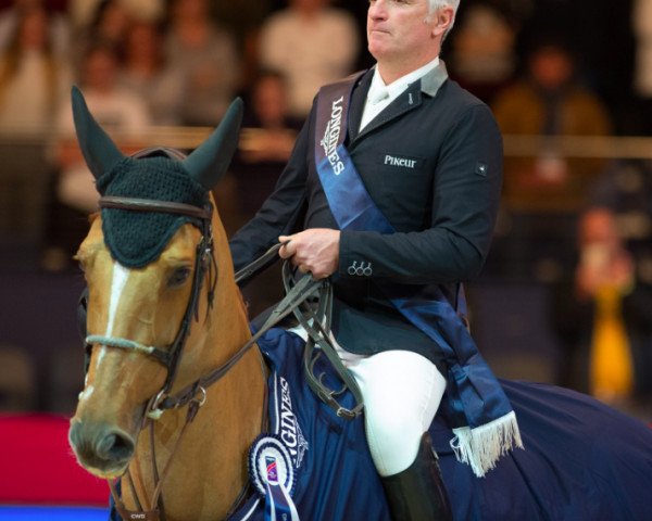 Zuchtstute Sydney Une Prince (Selle Français, 2006, von Baloubet du Rouet) Zuchtstute Sydney Une Prince (Selle Français, 2006, von Baloubet du Rouet)