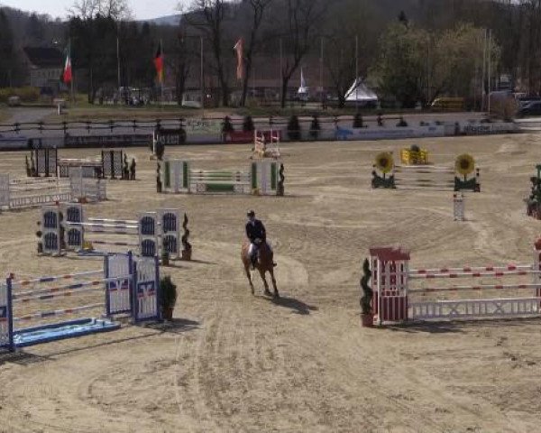 Balve-Wocklum Regio 2015