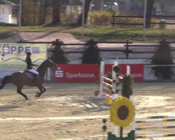 Balve-Wocklum Regio 2015