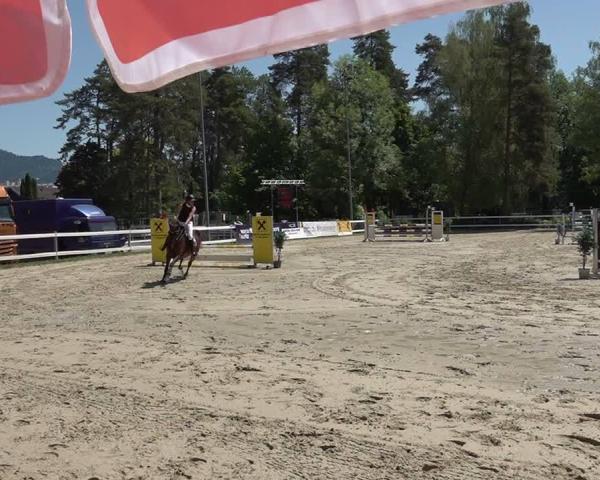 Hippisch Toernooi Bregenz 2026