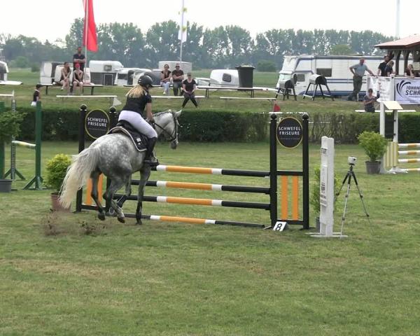 Torneio Equestre Wustrow 2026